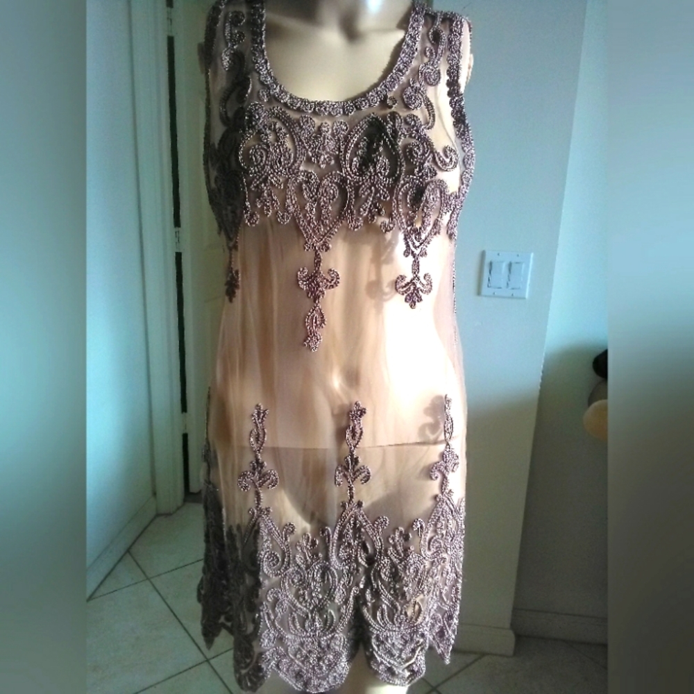 BNWOT SHEER/ EMBROIDERED DRESS/TOP BRONZE COLOR SEXY!!!! SZ. LG BY PRETTY ANGEL